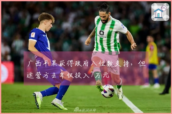 广西平果获得政府八位数支持，但运营方去年仅投入7万元