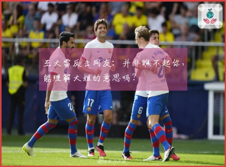 王大雷反击网友：并非瞧不起你，能理解大姐的意思吗？