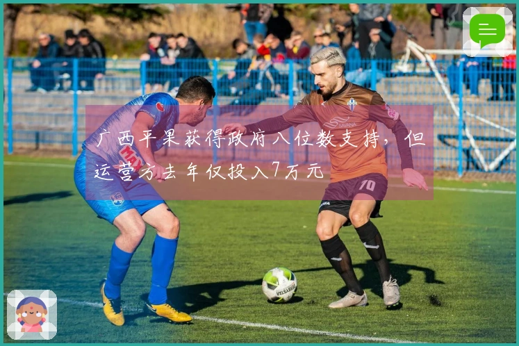 广西平果获得政府八位数支持，但运营方去年仅投入7万元
